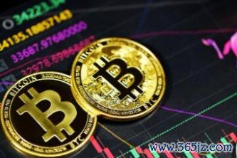 token钱包网址 token钱包apptoken.im安卓版官网最新你的数字通用钱包-探秘数字货币十大种类及其特点，比特币、以太坊等亮点解析